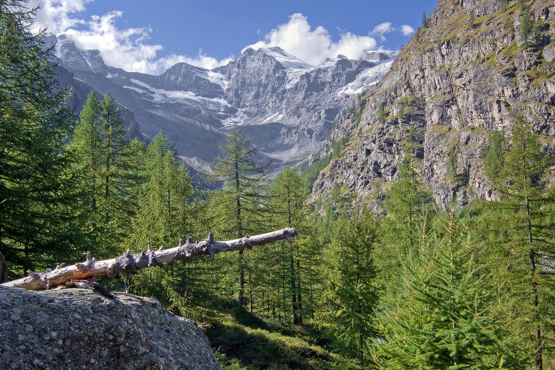 Sergio Cerrato pixabay, Gran Paradiso